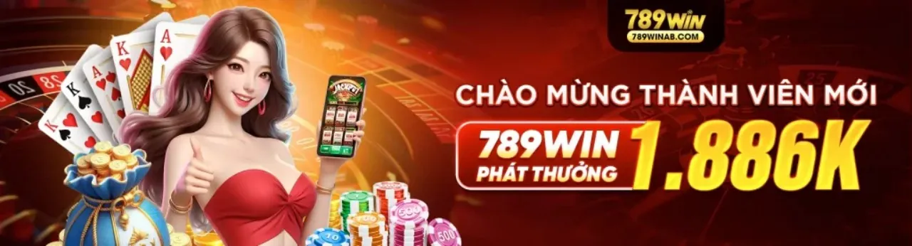 Tổng quan về các điều khoản dịch vụ của vnd555